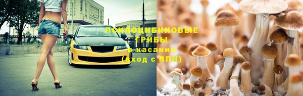 кокс Богородицк